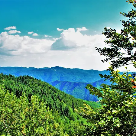 桑多利酒店 3* 波雷塔泰尔梅