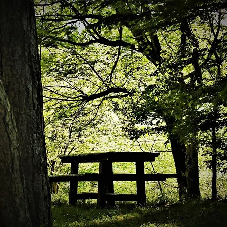 桑多利酒店 酒店 3*