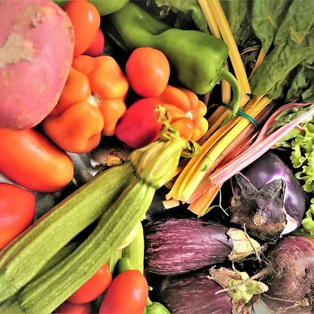 酒店 桑多利酒店 3*