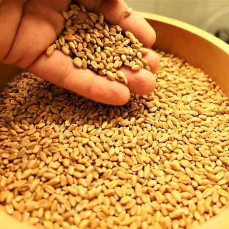 Santoli Hotel Porretta Terme