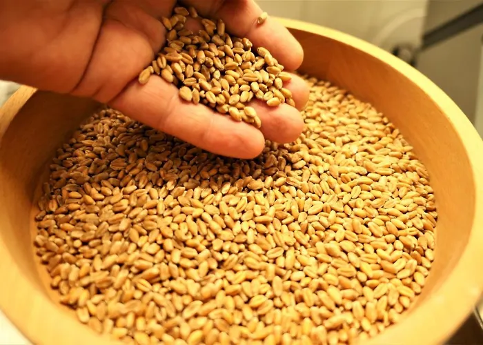 Santoli Hotel Porretta Terme